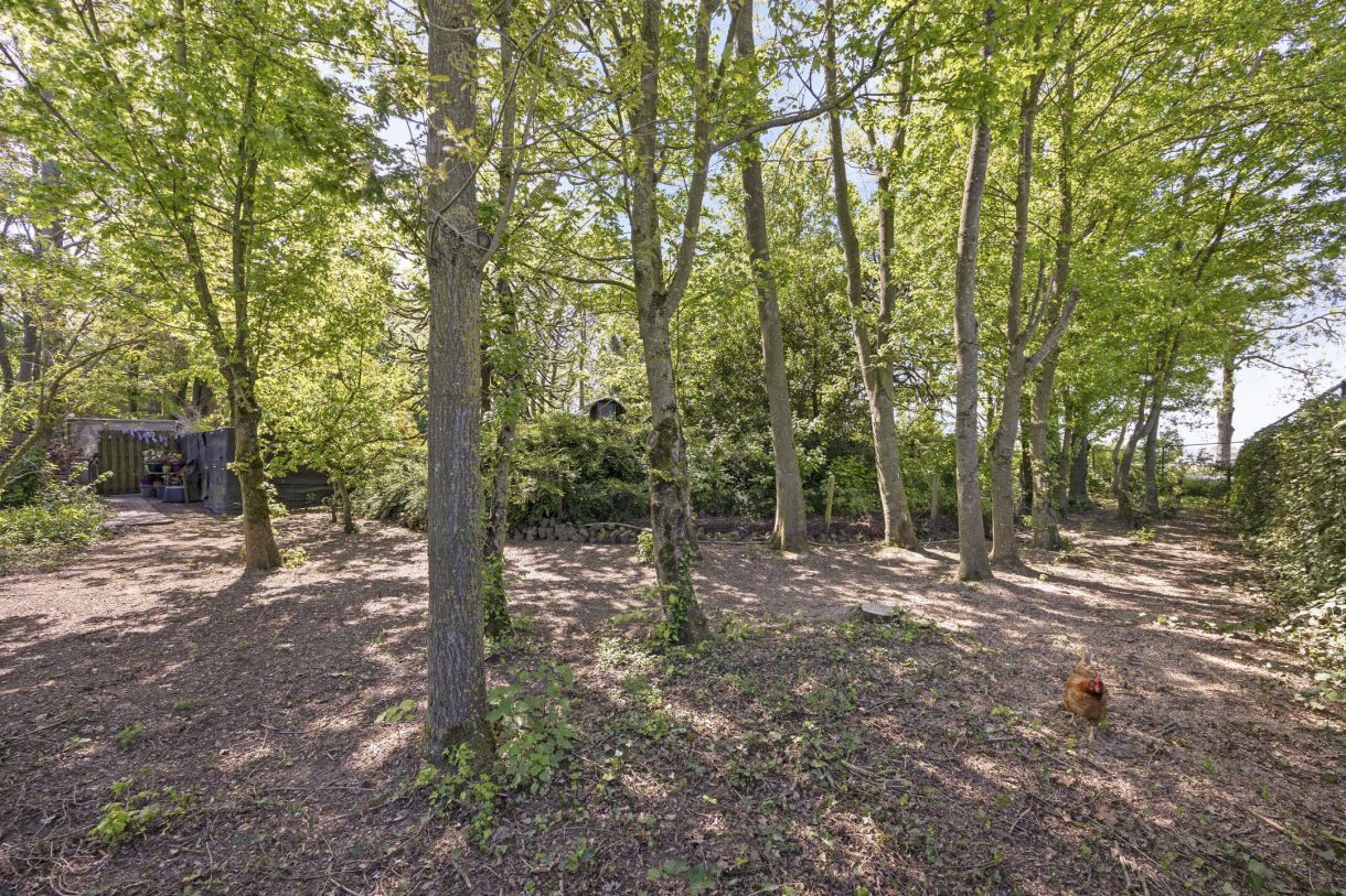 Te koop: Foto Woonhuis aan de Kapelstraat 34 in Maasbommel