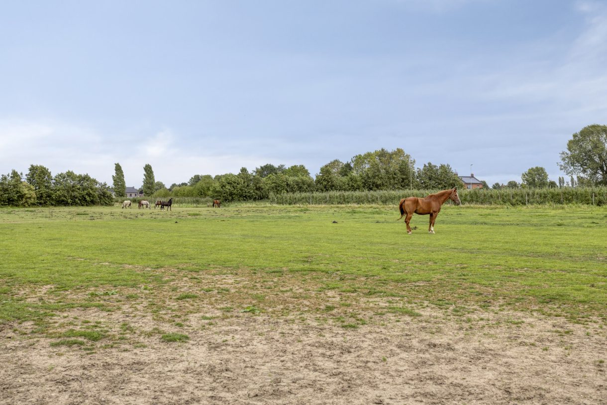 Te koop: Foto Woonhuis aan de Uilland 10 in Boven-Leeuwen