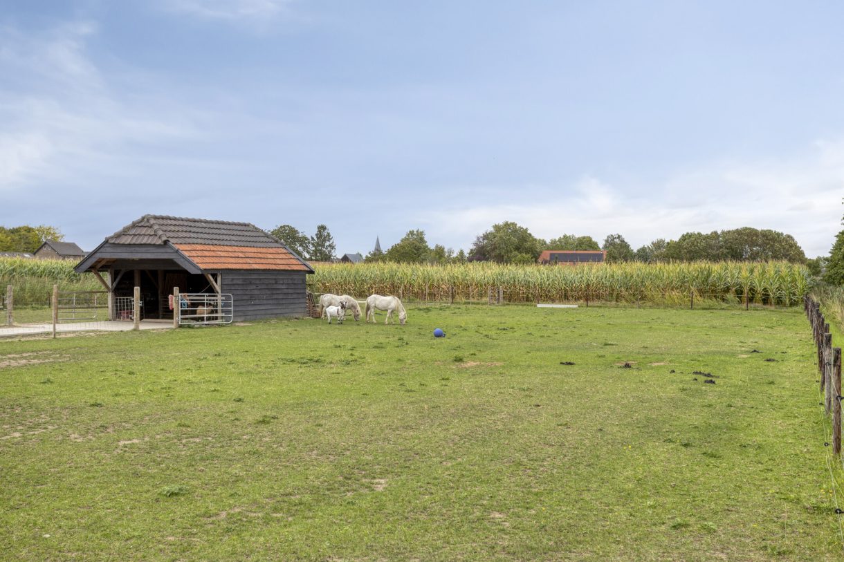 Te koop: Foto Woonhuis aan de Uilland 10 in Boven-Leeuwen