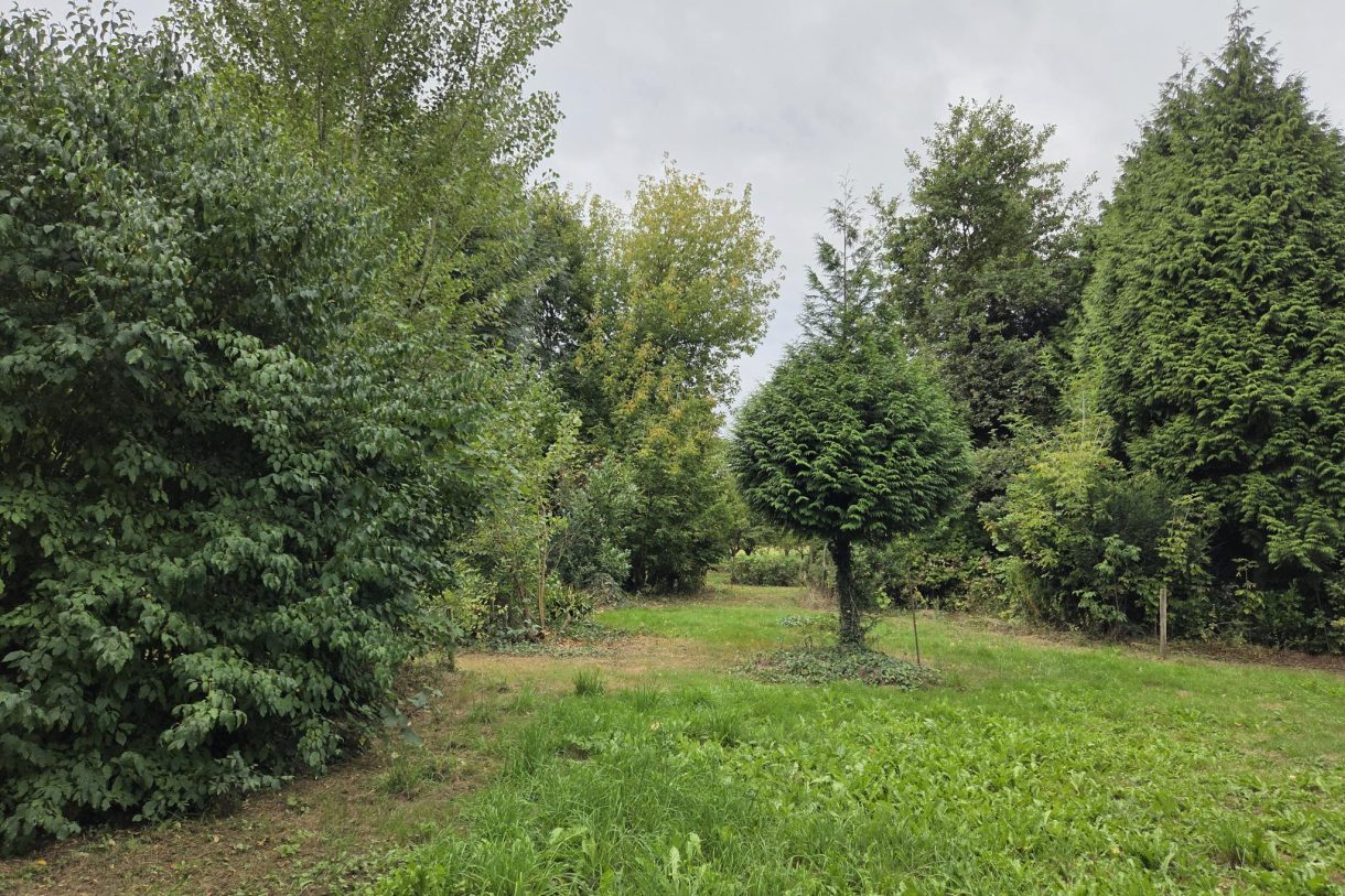 Te koop: Foto Bouwgrond aan de Oude Maasdijk 24 in Dreumel