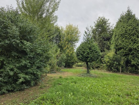 Hoofdfoto van Dreumel Oude Maasdijk 24