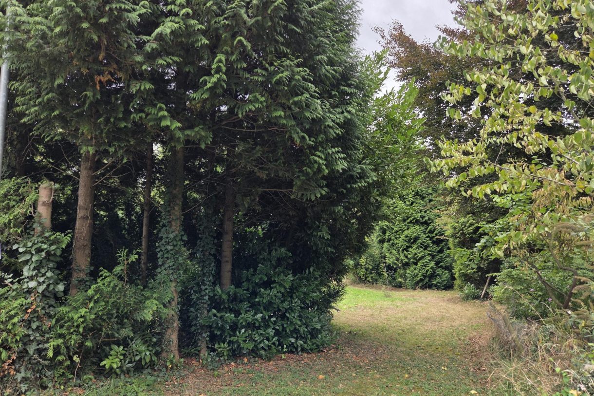 Te koop: Foto Bouwgrond aan de Oude Maasdijk 24 in Dreumel