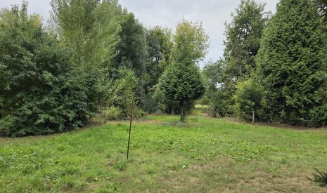 Te koop: Foto Bouwgrond aan de Oude Maasdijk 24 in Dreumel